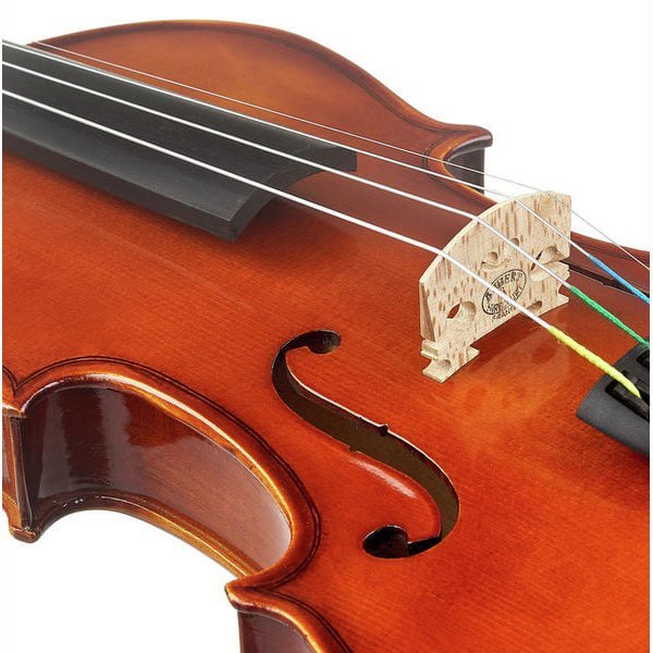 Фото Karl Hofner AS-190-V 4/4-0 