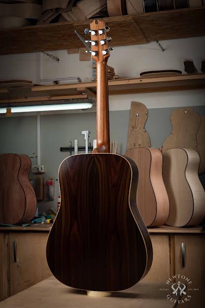 Фото Акустическая гитара NewTone D RW 43 кейс в комплекте