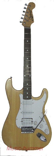 Фото Электрогитара Euphony Strat H