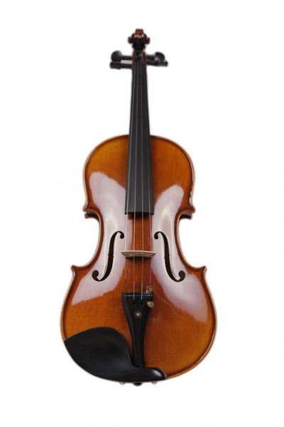 Фото Скрипка Livingstone L-V8 4/4