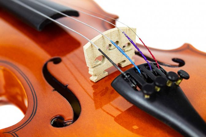 Фото Скрипка Livingstone L-VP01 1/4