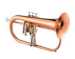 Фото Флюгельгорн Bb BRAHNER FLH-555