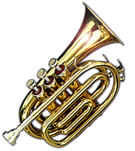 Фото Труба Maxtone TT-MINI