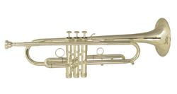 Фото Труба WISEMANN DTR-2000SP Signature SeriesII