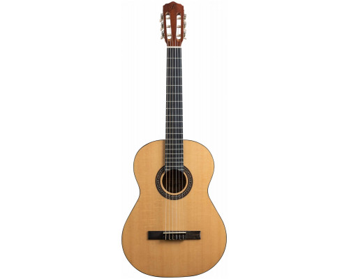 Фото Классическая гитара FLIGHT C-120 NA 