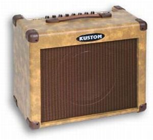 Фото KUSTOM SIENNA30