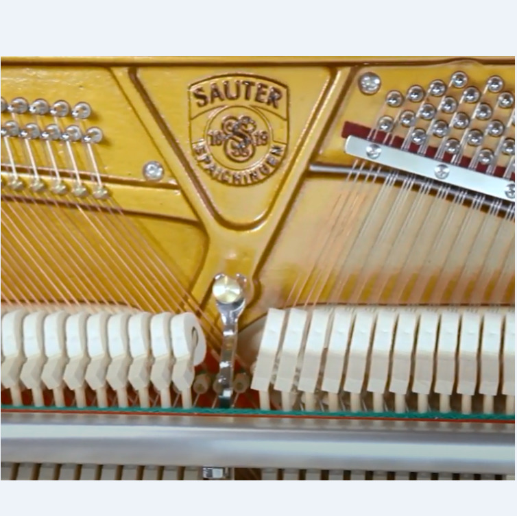 Фото Пианино Sauter Carus 112 Ash Black Satined, 112 см, цвет чёрный ясень