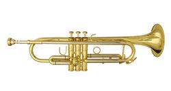 Фото Труба WISEMANN DTR-780