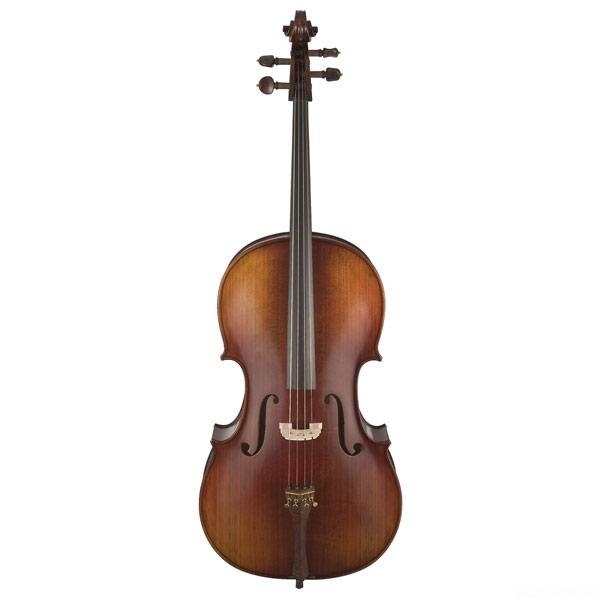 Фото Виолончель HANS KLEIN HKC-12S 1/2