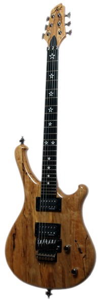 Фото электрогитара JET UEG2007SP