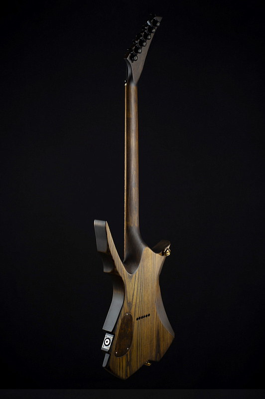 Фото Электрогитара RUSICH GUITARS Celt