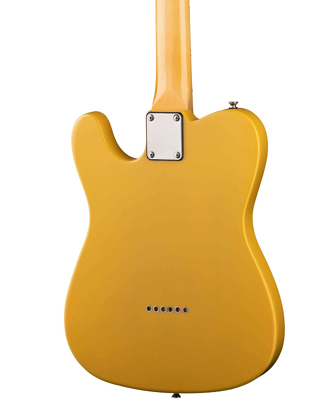 Фото Электрогитара Prodipe TC80MA JMFTC80MABS