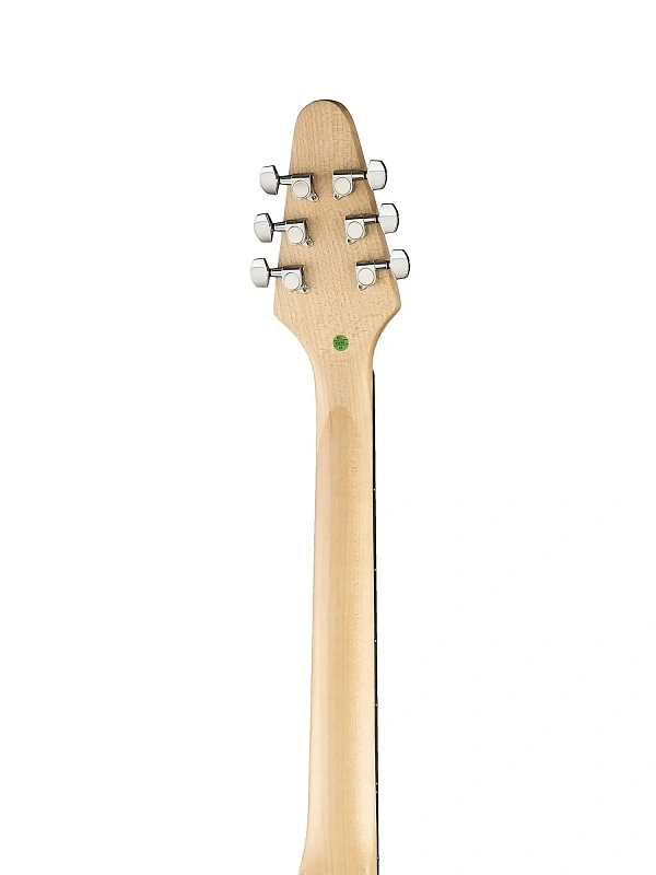 Фото Электрогитара Caraya E235BK