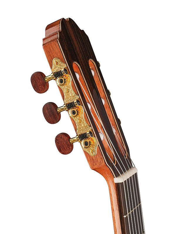 Фото Электро-акустическая гитара Kremona F65CW Performer Series Fiest