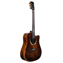 Гитара акустическая Meridaextrema Gloria V-DC с чехлом