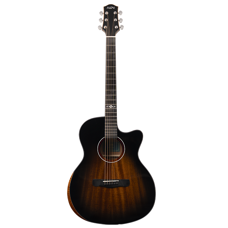 Фото Акустическая гитара Aion F10