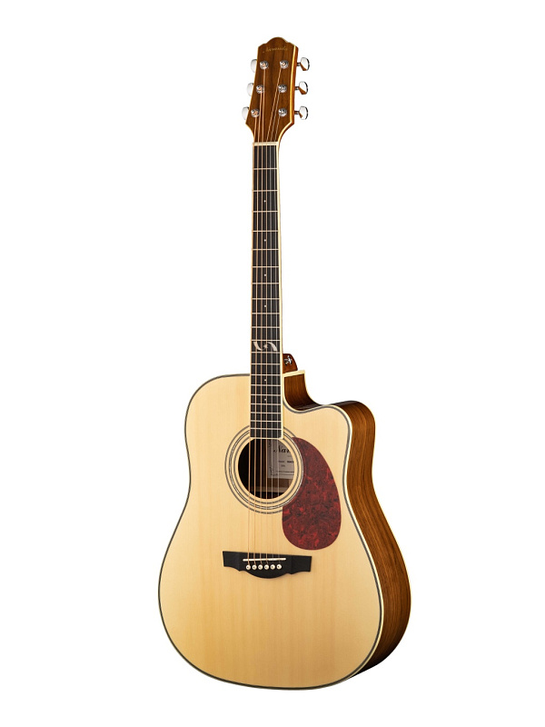 Фото Акустическая гитара Naranda DG403CN