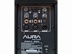 Комплект караоке EVO Icon Plus