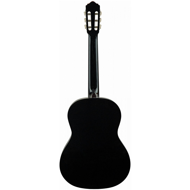 Фото Классическая гитара FLIGHT C-120 BK