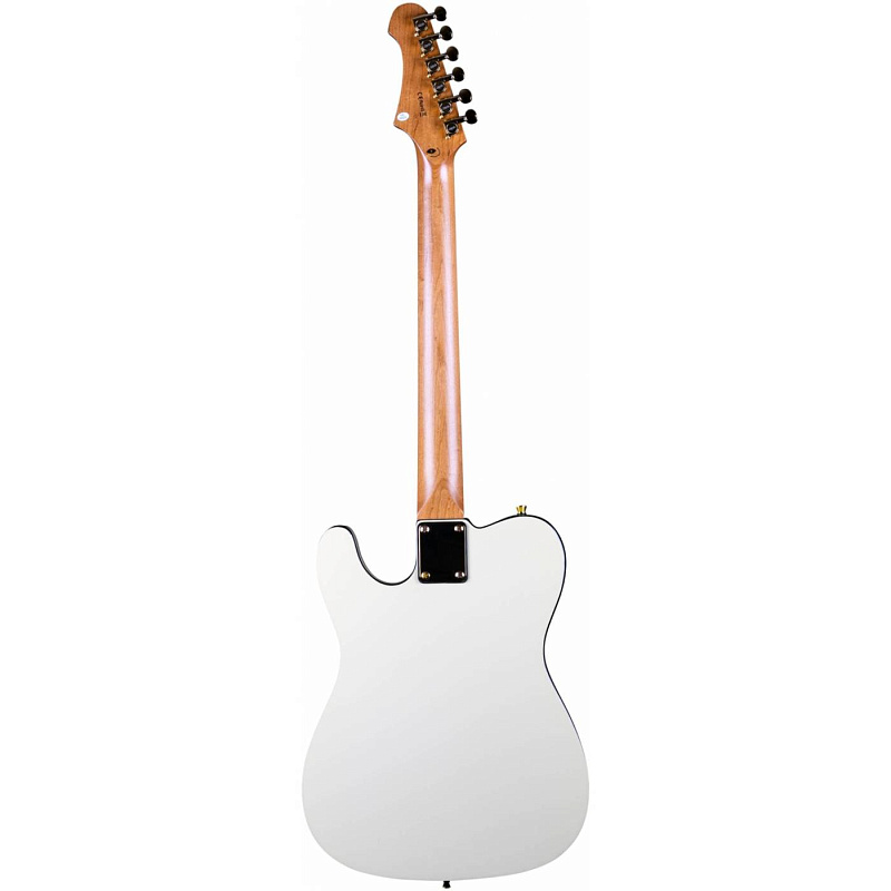 Фото Электрогитара JET JT-300 AW G