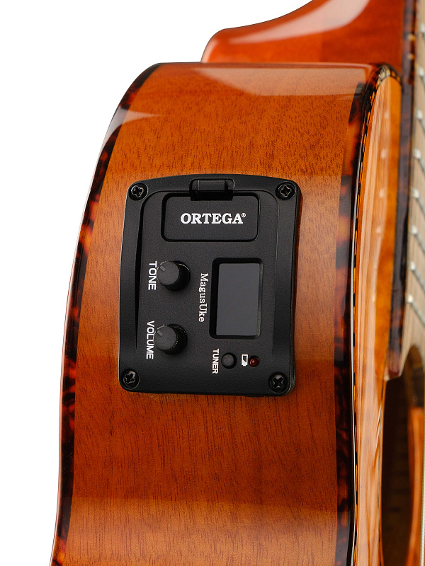 Фото Гитарлеле 6-струнный Ortega RGLE18FMH Timber Series