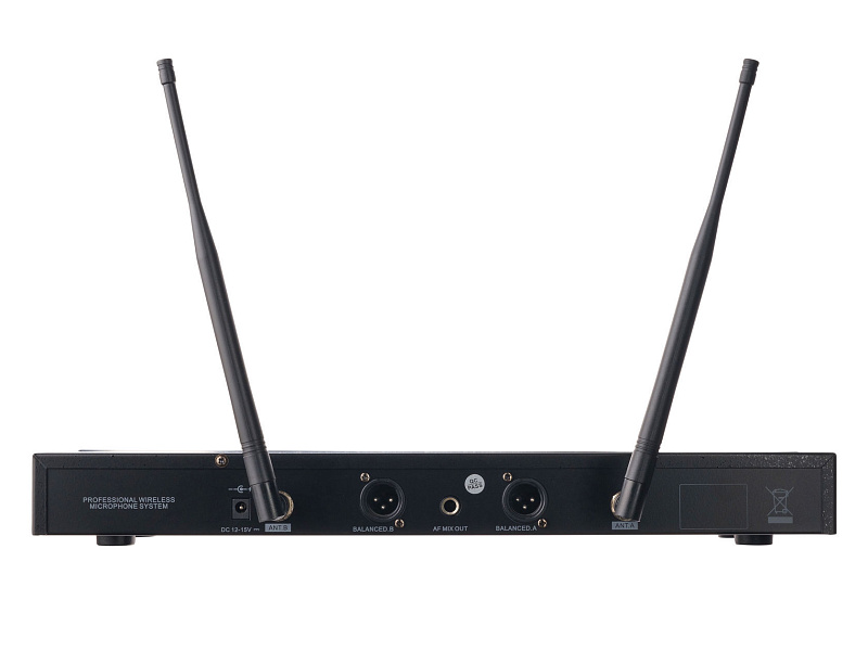 Фото Микрофонная система LAudio LS-Q10-2M