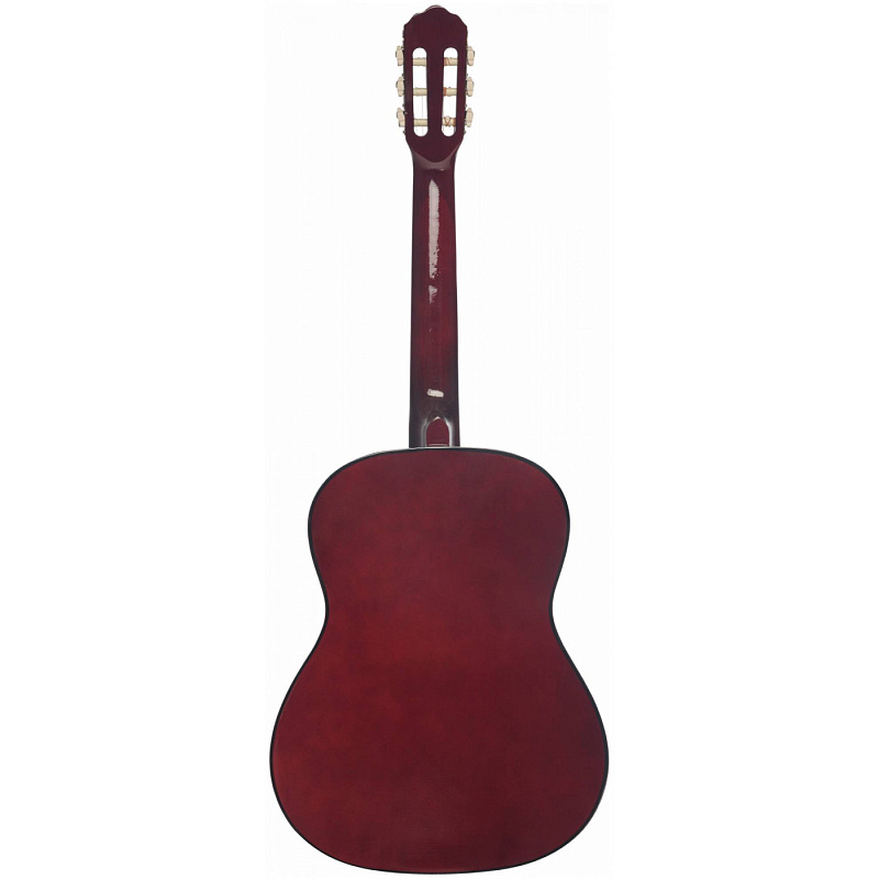 Фото Классическая гитара TERRIS TC-3901 A NA 