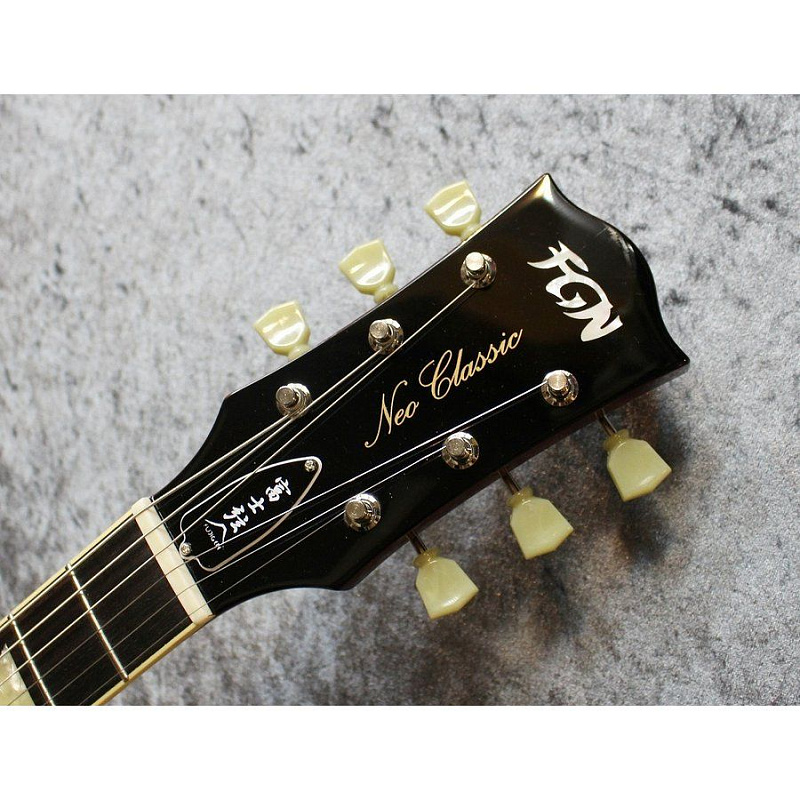 Фото Электрогитара с чехлом FGN NLS10GMP FCB