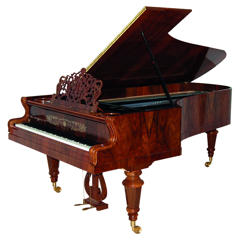 Фото PAUL McNULTY AAA-A4 AFTER STREICHER OP. 6747, 1868