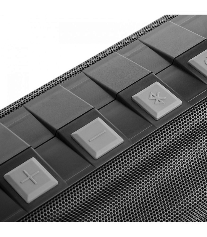 Фото Портативная акустическая система DREAMWAVE Tremor graphite