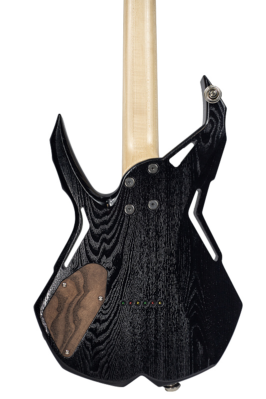 Фото Электрогитара RUSICH GUITARS Spider (black) Titanium edition 27 ладов