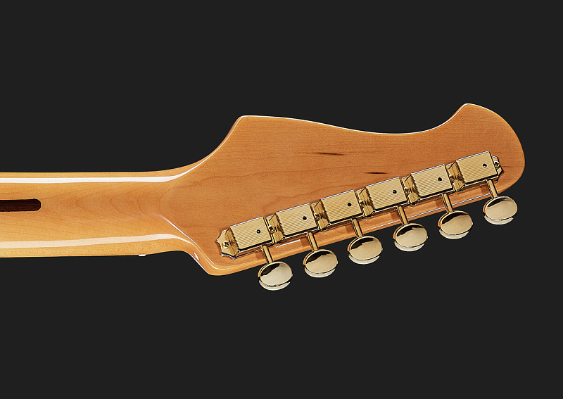 Фото Harley Benton ST-62DLX VW