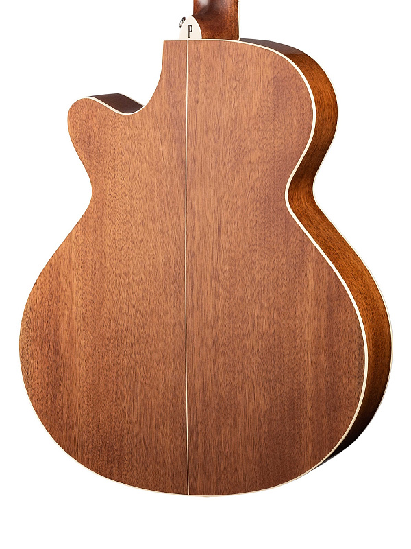 Фото Электро-акустическая гитара, с вырезом, с чехлом Parkwood S67