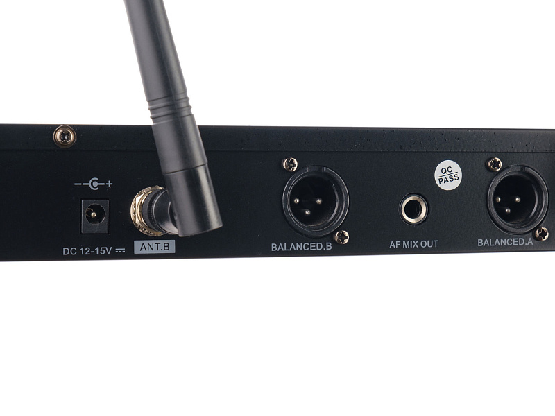 Фото Микрофонная система LAudio LS-Q10-2M