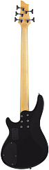 Бас гитара Schecter C-5 Plus STCB