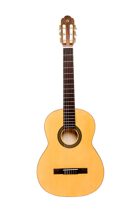 Фото NewTone Silena S N