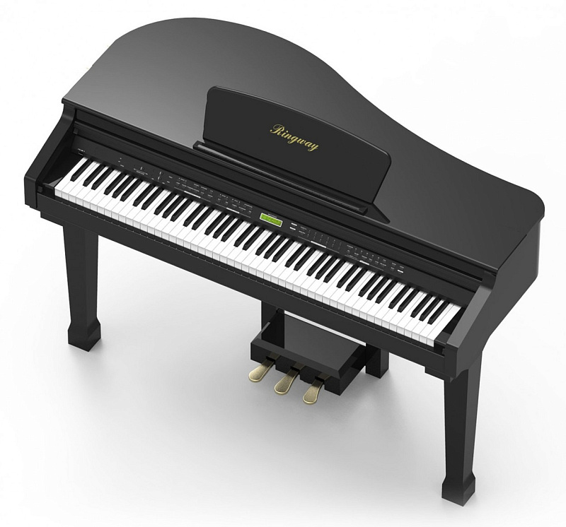 Фото Ringway GDP1120 Black