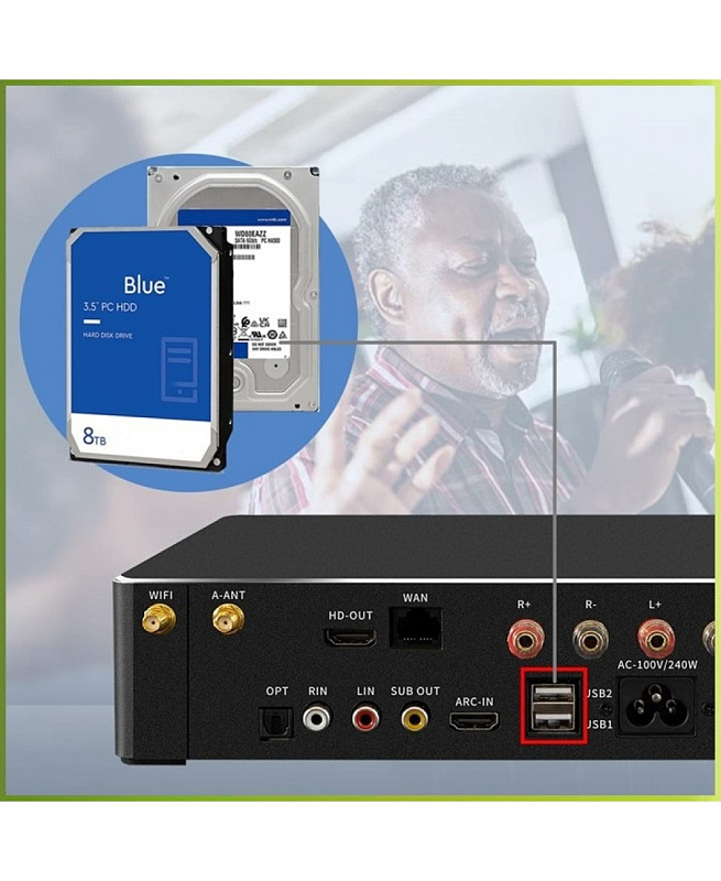 Фото Комплект караоке REXUS SA-2KA