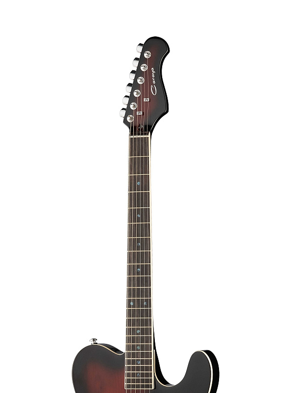 Фото Электрогитара Caraya E219RDS