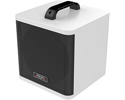 Комбоусилитель для акустической гитары AROMA AG-40A WH