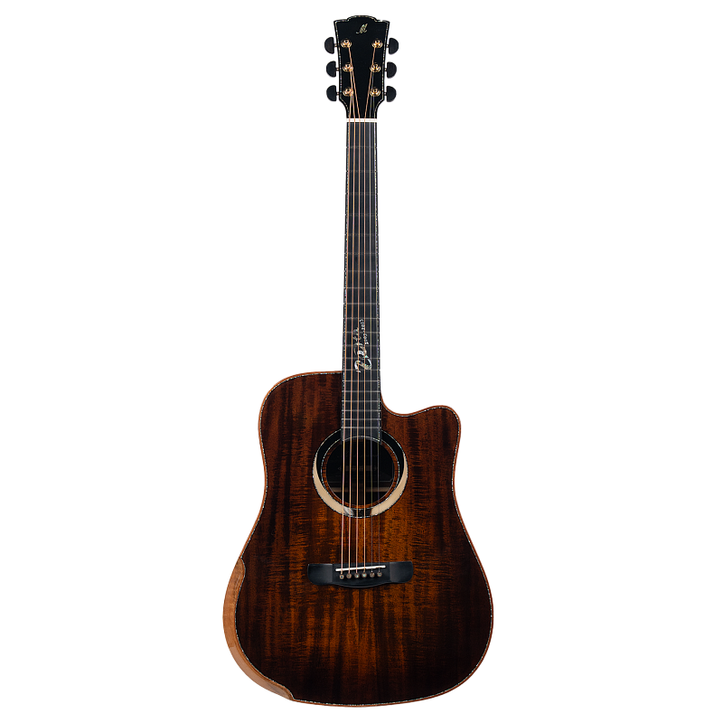 Фото Гитара акустическая Meridaextrema Gloria V-DC с чехлом