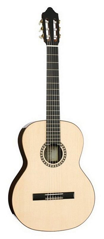 Фото Классическая гитара Kremona S65S-GG Sofia Soloist Series Green Globe