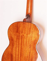 Классическая гитара Cort AC100-SG Classic Series