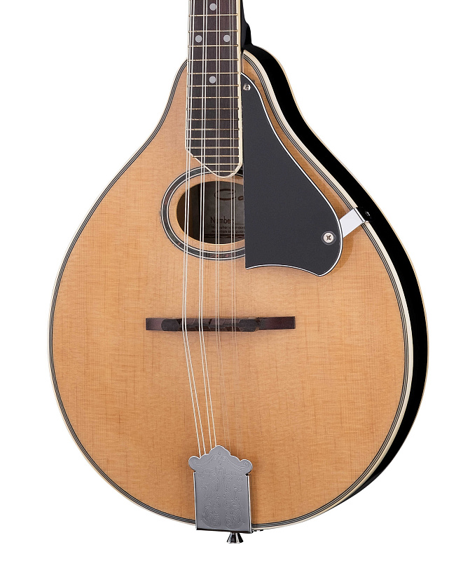 Фото Мандолина Caraya MA-002-N