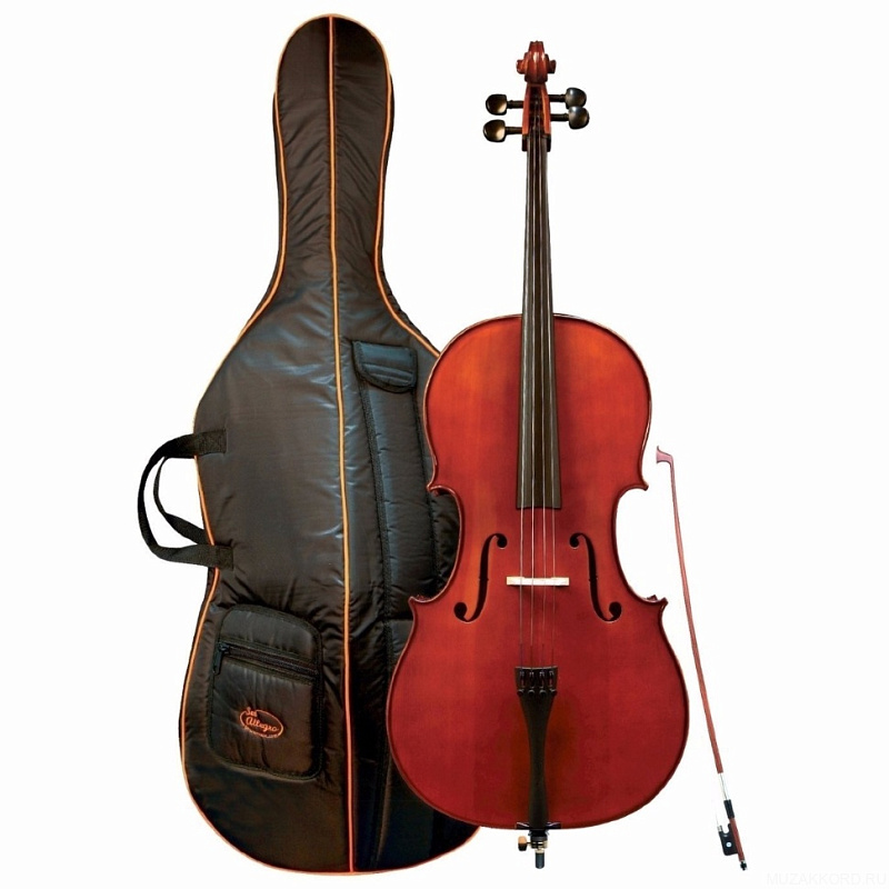 Фото GEWA Cello Outfit Allegro 3/4