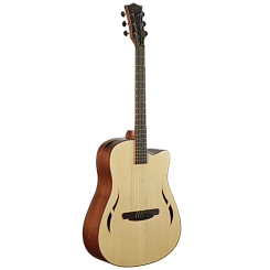 Гитара акустическая SQOE SQ-F Set