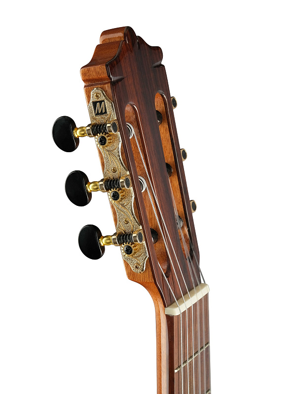 Фото Классическая гитара Martinez MC-48S