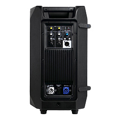 Активная акустическая система УРАЛ х ARIS J.V. Имбирь 315-А