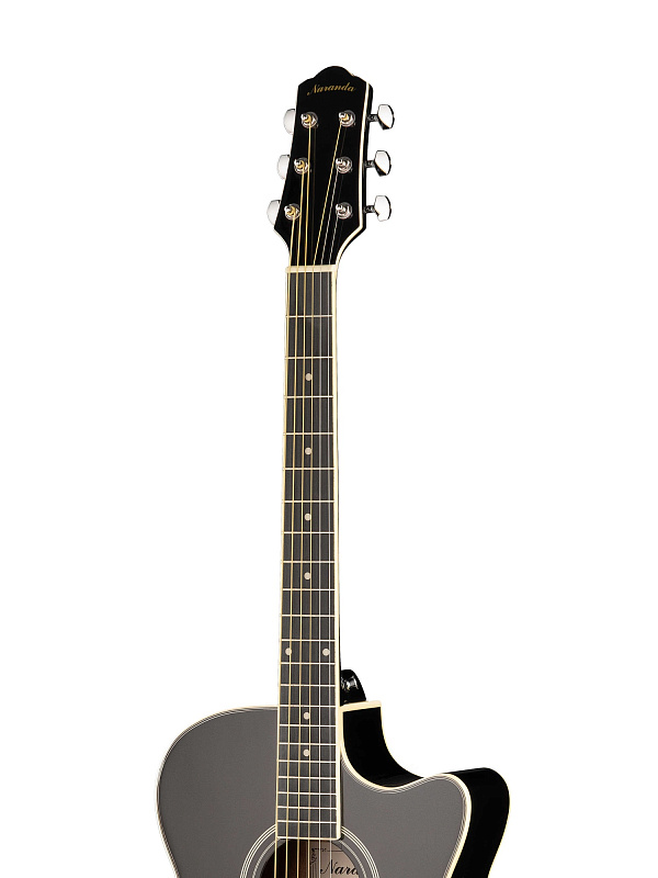 Фото Акустическая гитара Naranda TG220CBK