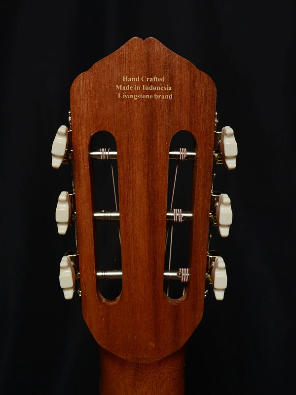 Фото Гитара Livingstone Folkblues NA  39" с вырезом